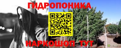 сатива Бугуруслан