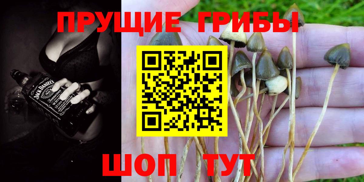 Галлюциногенные грибы мухоморы Магадан