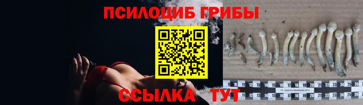 Магадан  Галлюциногенные грибы ЛСД  Вход с VPN 